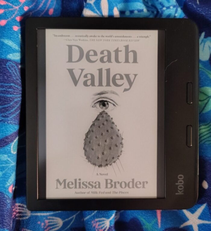 cover for Death Valley: A Novel shown on Kobo ereader