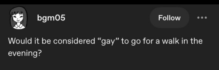 internet post reading "Would it be considered 'gay' to go for a walk in the evening?"
