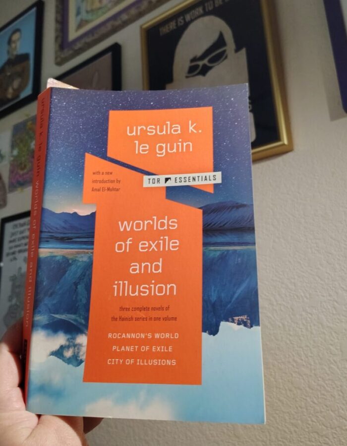 paperback book: Worlds of Exile and Illusion
