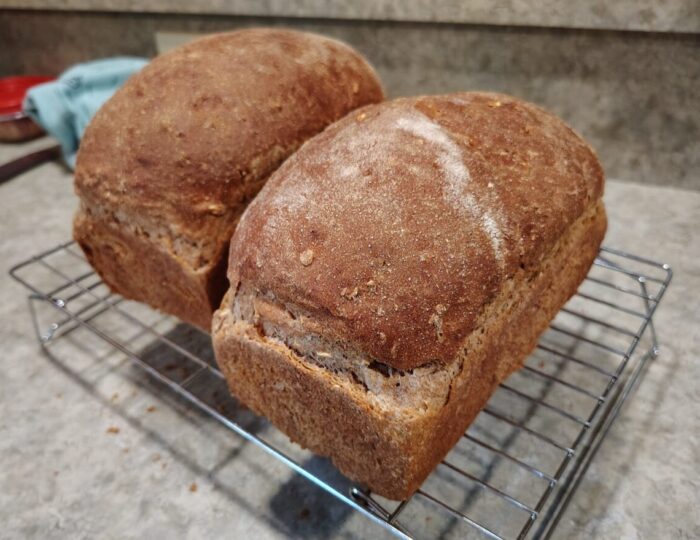 two loaves of oat and wheat sandwich bread cooling on a wire rack