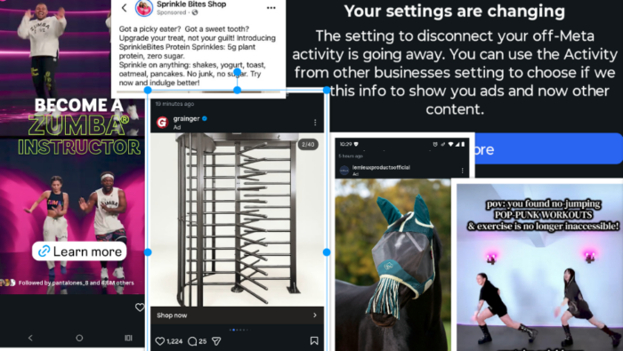 a collage of instagram ads plus a notice that instagram is disabling a privacy setting. Ads include some weird horse hat, a turnstile, protein sprinkles, and "become a zumba instructor"