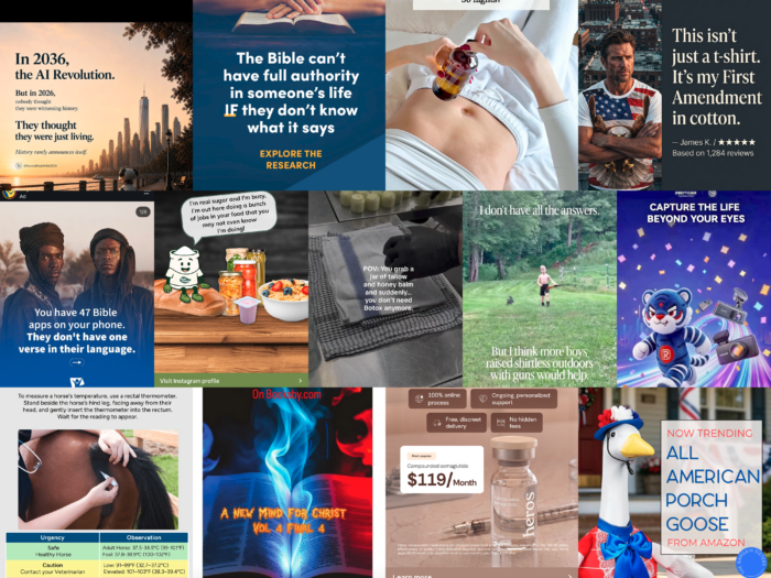 a collage of bonkers instagram ads I've gotten recently, including multiple bible apps, a dashcam company, a porch goose, tallow, sugar, GLP-1 medication, and a porch goose