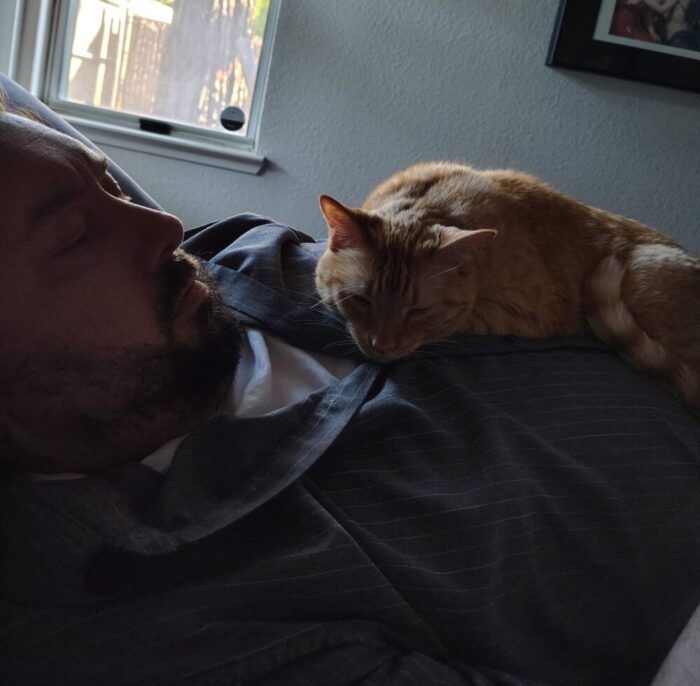 Fritz the cat lying on top of Kirk